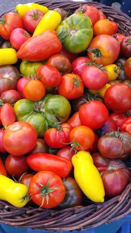 vegetables